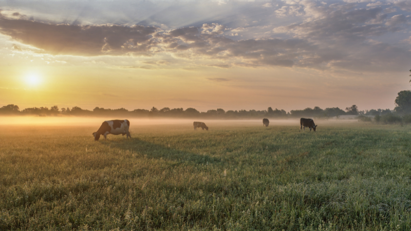 Changes ahead for farming families